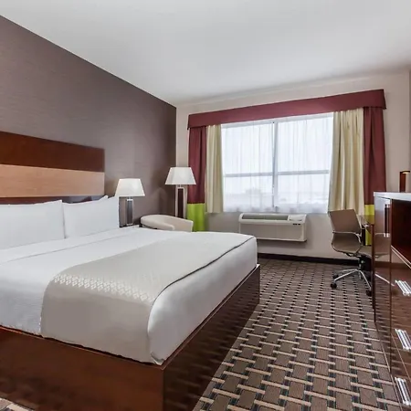 Wyndham Garden Edmonton Airport-3